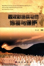 西汉彩绘兵马俑修复与保护