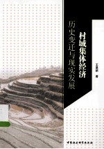 村域集体经济 历史变迁与现实发展