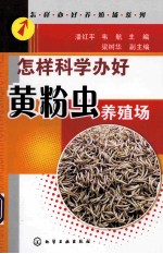怎样科学办好黄粉虫养殖场