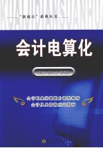 会计电算化