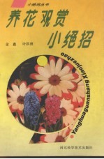 养花观赏小绝招