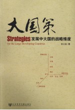 大国策 发展中大国的战略维度