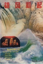雄风初起 商海言情小说