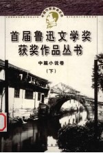 鲁迅文学奖获奖作品丛书 中篇小说 下