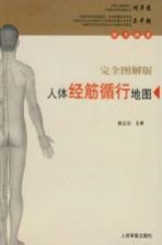 人体筋经循行地图 完全图解版