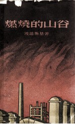 燃烧的山谷