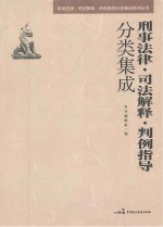 刑事法律·司法解释·判例指导分类集成