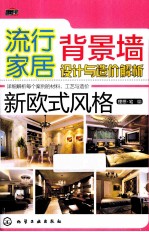 流行家居背景墙设计与造价解析 新欧式风格