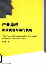 产业集群形成机理与运行机制