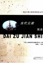 当代云南少数民族简史丛书 当代云南傣族简史