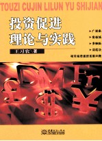 投资促进理论与实践