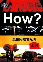 黑色闪耀着光明 非洲