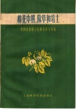 棉花中耕、除草和培土