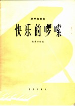 钢琴独奏曲 快乐的啰嗦