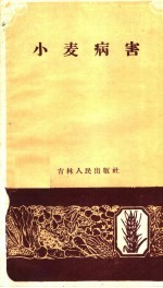 小麦病害
