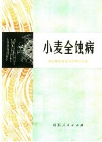 小麦全蚀病