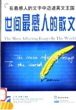 世间最感人的散文