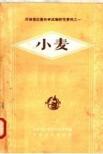 小麦
