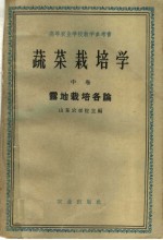 蔬菜栽培学 中 露地栽培各论
