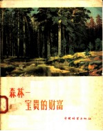 森林:宝贵的财富