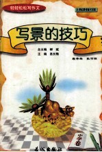 轻轻松松写作文丛书 写景的技巧 中学卷