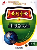 黄冈中学中考总复习 语文