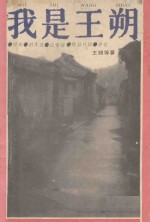 我是王朔 经历、创作谈、论爱情、作品片段、评论