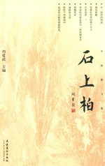 石上柏 中财散文集