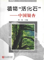 植物活化石 中国银杏