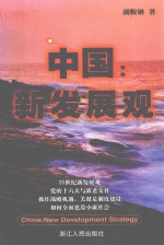中国 新发展观