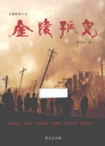 长篇影视小说 金陵孤儿
