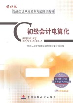 初级会计电算化
