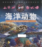 海洋动物
