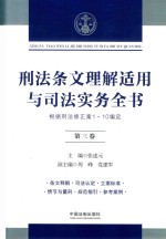 刑法条文理解适用与司法实务全书 根据刑法修正案1-10编定 第3卷