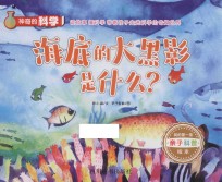 神奇的科学 海底的大黑影是什么?