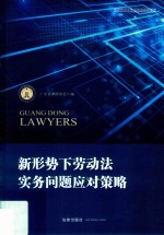 广东律师系列丛书 新形势下劳动法实务问题应对策略