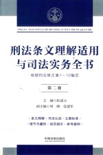 刑法条文理解适用与司法实务全书 根据刑法修正案1-10编定 第2卷