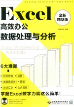Excel高效办公 数据处理与分析 全新精华版