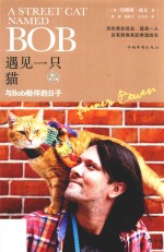 遇见一只猫 与Bob相伴的日子