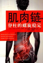 肌肉链 脊柱的螺旋稳定