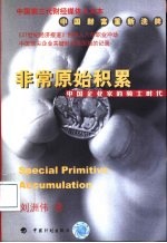 非常原始积累 中国企业家的骑士时代