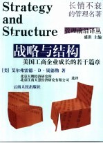 战略与结构 美国工商企业成长的若干篇章