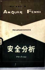 安全分析