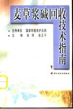 麦草浆碱回收技术指南