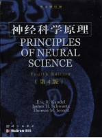 神经科学原理 英文版