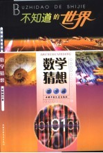 不知道的世界 数学篇 数学猜想
