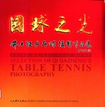 国球之光 齐大征乒乓球摄影作品选