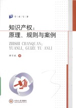 知识产权 原理、规则与案例
