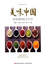 美味中国 实用调味配方大全