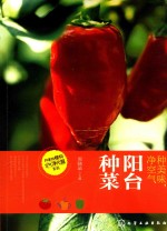 种美味，净空气 阳台种菜